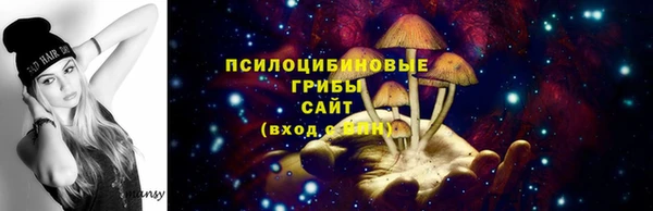 спиды Абинск