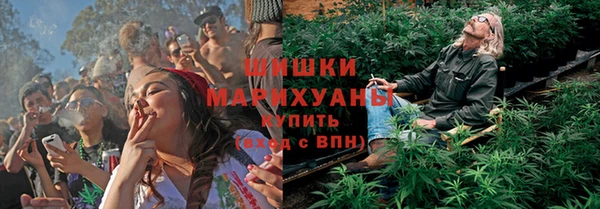 мдпв Надым