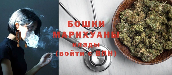 мдпв Надым