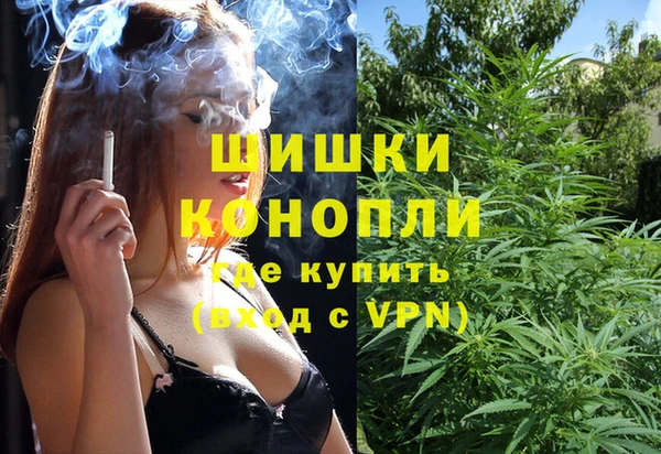 ПСИЛОЦИБИНОВЫЕ ГРИБЫ Абаза