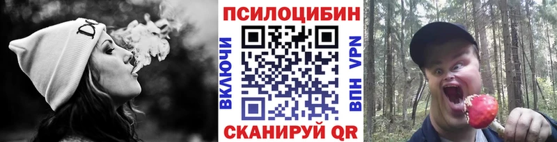 Галлюциногенные грибы Cubensis  ссылка на мегу маркетплейс  Хабаровск 