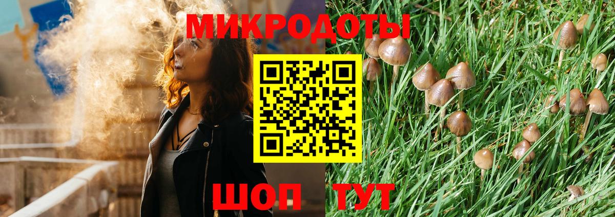 Галлюциногенные грибы прущие грибы  купить наркотик  Хабаровск  Вход с VPN 