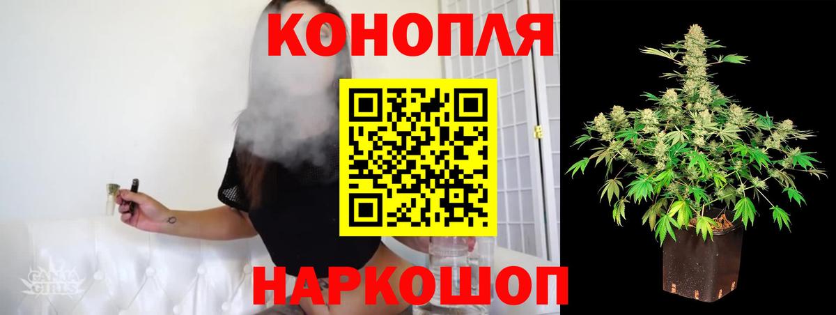 Каннабис OG Kush Хабаровск